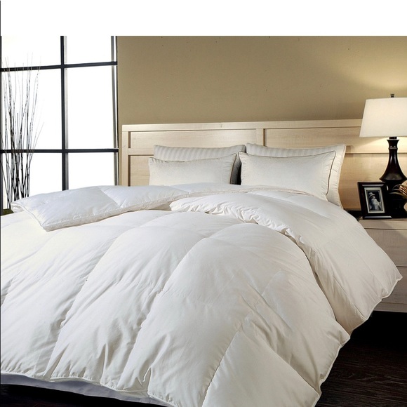 - royal luxe Goose Feather and Down Comforter - Picture 1 of 2